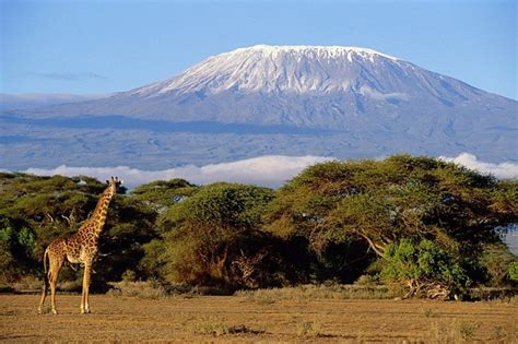 Mountain Kilimanjaro A Portrait Of Mountain Kilimanjaro F Flickr