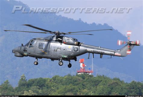 M501 1 Malaysia Navy Westland Lynx Photo By Qiao Zheng Id 958108