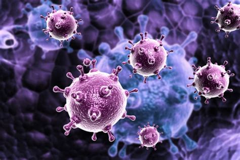 Maybe you would like to learn more about one of these? New discovery: This is why we do not constantly get ill ...