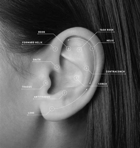 We have a team of highly qualified and competent audiologists, all of whom are registered by hcpc. Get Places Near Me To Get Ears Pierced Images