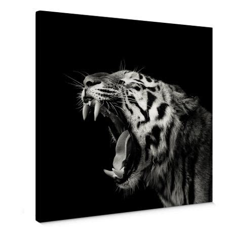 Canvas Print Meermann Tiger Wall Art Com