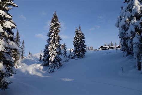 Free Images Tree Snow Mountain Range Weather Skiing Fir Season