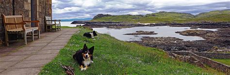 Head to ayrshire or the isle arran for days on the beach. Dog Friendly Holidays in Scotland | Parkdean Resorts