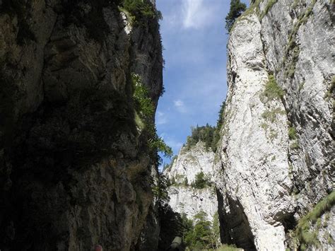 Check spelling or type a new query. Zarnesti Gorge | Natural landmarks, Landmarks, Travel