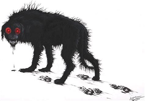 Big Black Dogs Of England Legendary Creatures