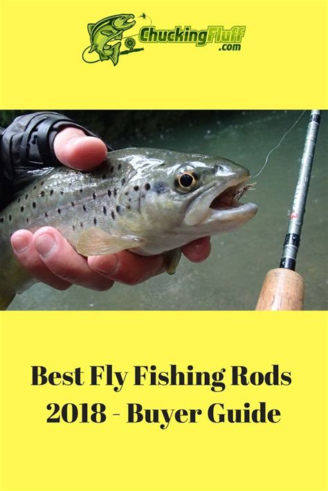 Best Fly Fishing Rods 2020 Comparison And Beginners Guide Best Fly