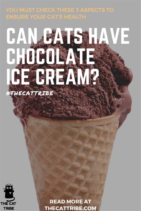 There is a long list of foods that are bad for cats, including chocolate, cream, cheese, grapes and onions. Can Cats Have Chocolate Ice Cream? You Must Check These 3 ...