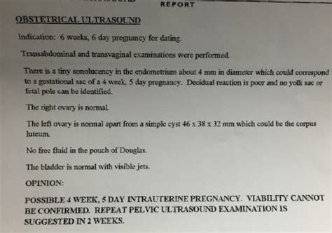 Ultrasound Results Babycenter