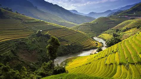 Sapa Weather And Climate ☀️ Best Time To Visit 🌡️ Temperature