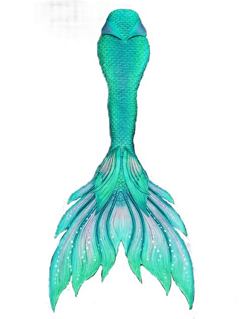 Mermaid Tail Merman Finfolk Legend Mermaid Png Download 719959