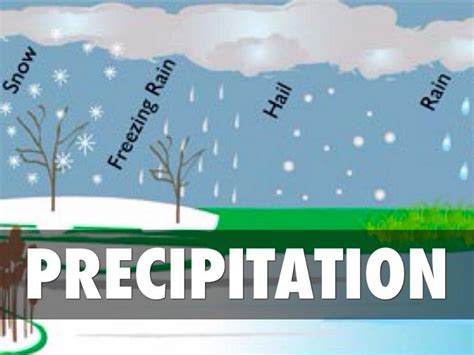 Precipitation Water Cycle