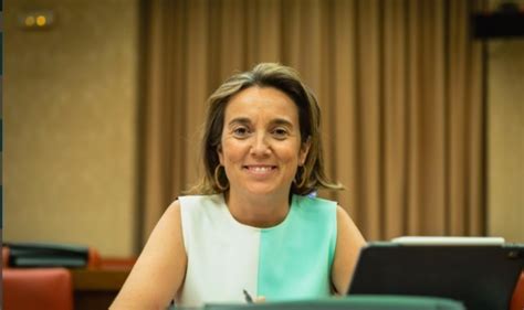 Dentro del organigrama cabe destacar el nombramiento del diputado provincial del pp por granada, carlos rojas, como portavoz adjunto en el congreso de los diputados y como miembro del consejo. Cuca Gamarra ya es oficialmente portavoz del PP en el Congreso