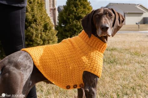 Easy Crochet Dog Sweater For Large Xl Xxl Dogs And Giant Dogs