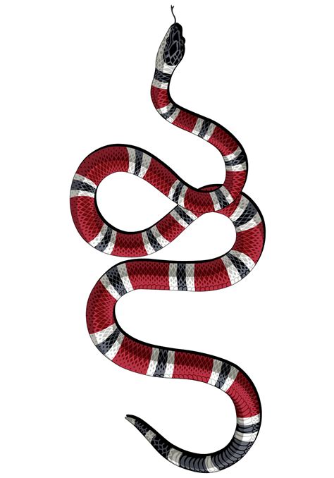 Download Decal Kingsnakes Gucci Sticker Serpent Download Hd Png Hq Png