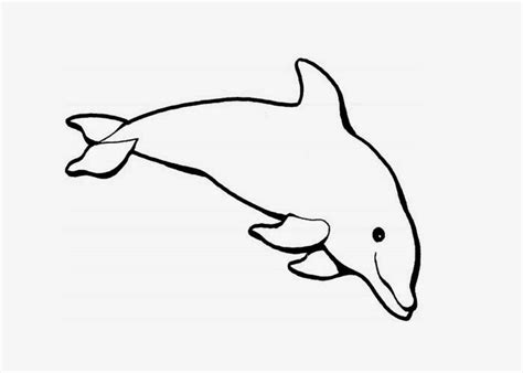 Dolphin Coloring Page Free Coloring Pages And Coloring Books For Kids