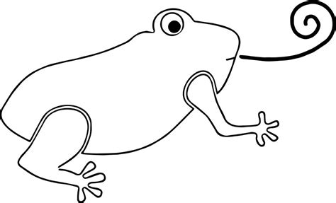 Frog Coloring Page Wecoloringpage 22902 Hot Sex Picture