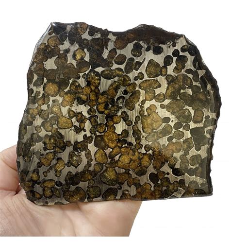 Meteorites For Sale Fossils 138 G Serico Pallasite Stony