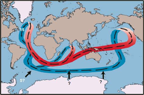 The Global Ocean Conveyor Thermohaline Circulation Broecker 1991