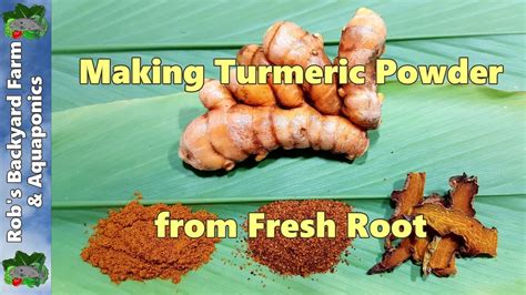 How To Make Turmeric Powder From Fresh Home Grown Root Happily Natural