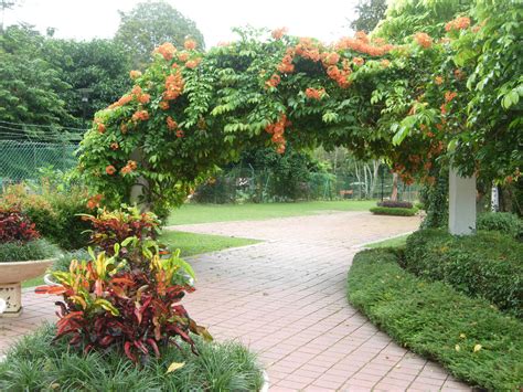 The garden is small compare to others, however, the wild life, trees, insects are awesome and they will give you a surprise. Botanical Garden Penang, Malaysia - Location Map