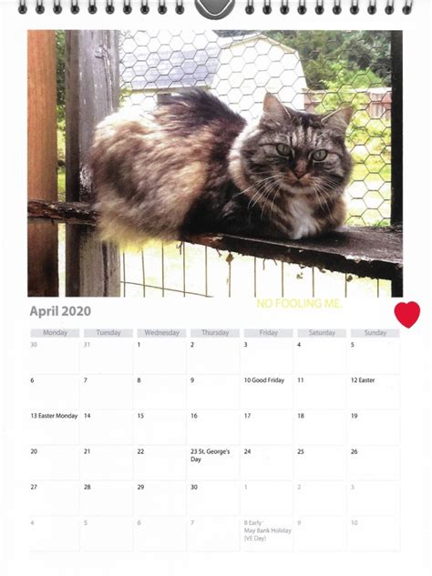 Christines Calendar Cat For April 2020 Feline Café