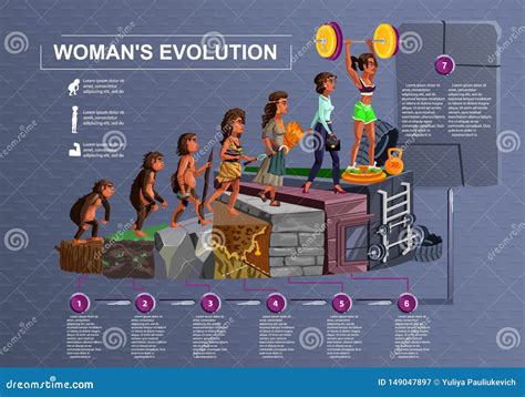 Woman Evolution Vector Cartoon Illustration Cartoondealer Com