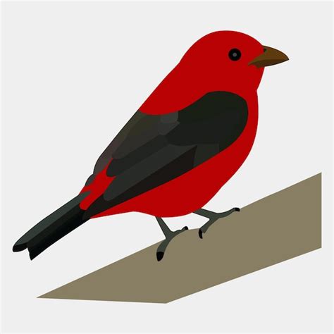 Premium Vector A Beautiful Red Bird Vector Artwork