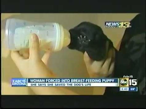 Photo of woman breastfeeding a puppy circulates on the internet. WEIRD STORY: Woman breastfeeds puppy - YouTube