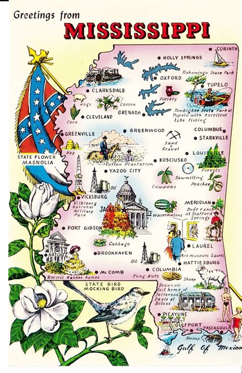 Greetings From Mississippi The Magnolia State Mississippi Postcard