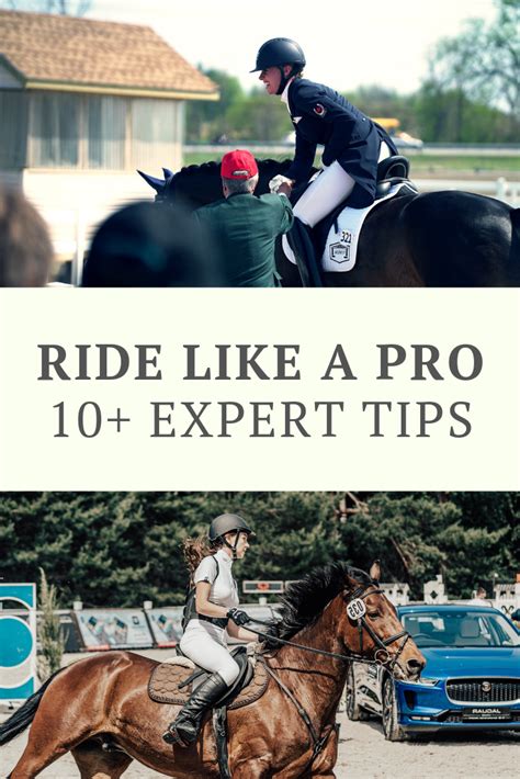11 Different Riding Styles For Your Horse Artofit