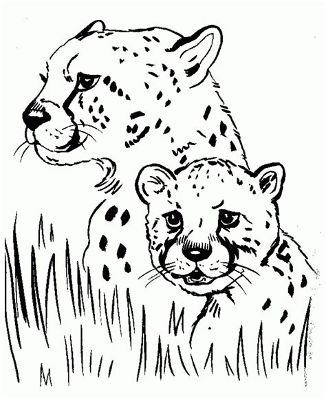 Get This Cute Baby Cheetah Coloring Pages M57c2