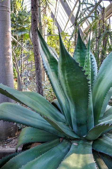 Der steinbruch der ehemaligen zeche vereinigte klosterbusch auf dem gelände der rub ist das größte bodendenkmal in bochum. wdf - wupper digitale fotografie - Botanischer Garten RUB ...