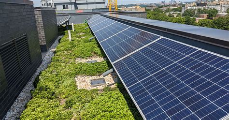 Green Roofs Make Solar Panels Work Better