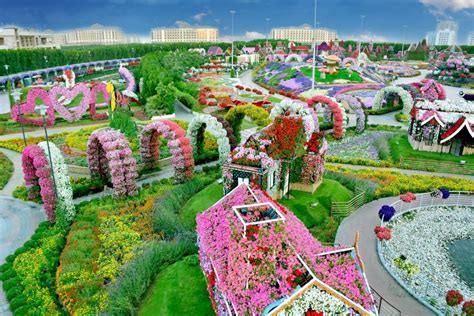 Dubai Miracle Garden All Set To Bloom Ahead Of A Dramatic Winter