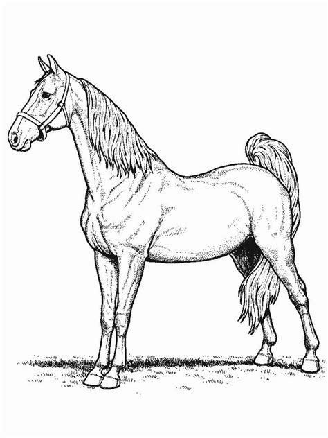 Cool Horse Coloring Pages Printable Free Coloring Sheets Horse