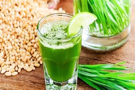 Amazing Benefits Of Wheatgrass Juice And How To Make It All Baseball Mom