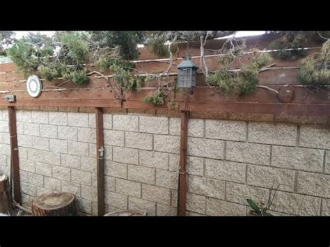 Cinder block walls may be sturdy, but continual wear over time can cause cracks or holes. Privacy Wall Topper May 2016 - YouTube
