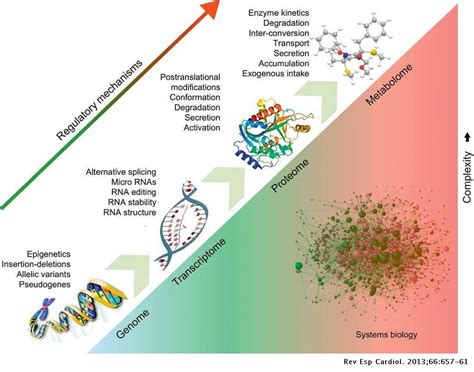 Novel Biomarkers For Pre Diabetes Identified By Metabolomics