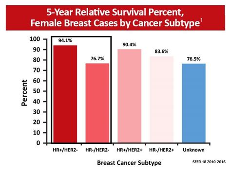 Her Negative Breast Cancer Epidemiology Oncology Nurses Quality Improvement Series