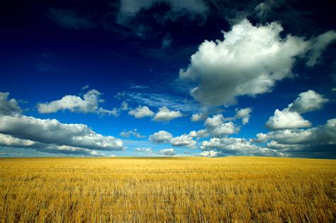Field Sky Clouds Landscape Grass Wallpapers Hd Desktop And Mobile