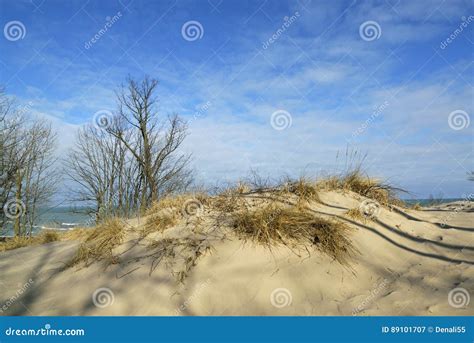 Sand Dunes On Shores Of Lake Michigan Stock Image Image Of Cold