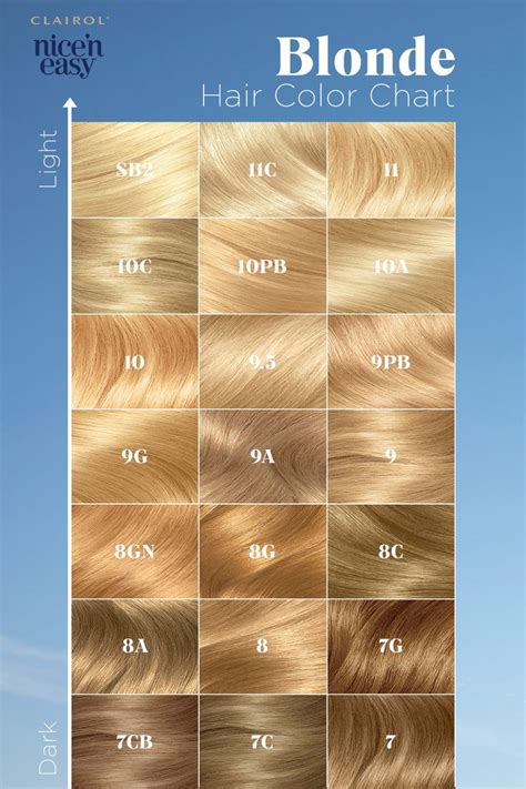 blonde hair color chart numbers