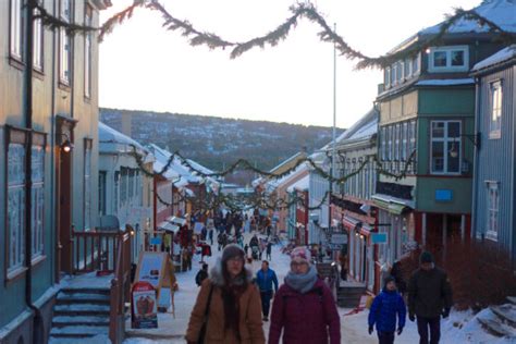 Husky Adventure And Winter Wonderland In Røros Pure Food And Travel