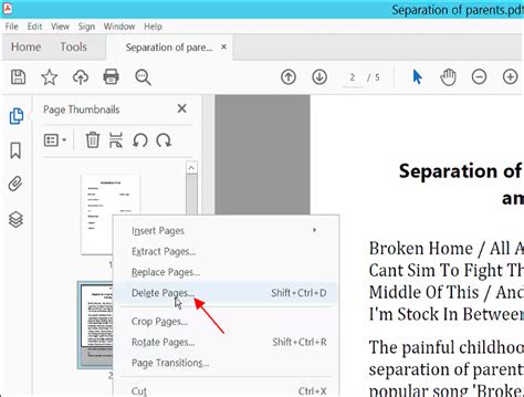 2022 How To Delete PDF Page In Adobe Acrobat 2 Methods EaseUS