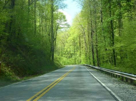 The largest of north carolina's four national forests, the nantahala encompasses 531,148 acres with elevations ranging from 5,800 feet at lone bald in jackson county to 1,200 feet in cherokee county. Nantahala National Forest (North Carolina Mountains ...