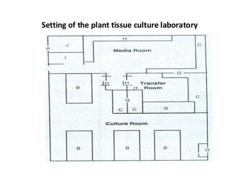 Media used in plant tissue culture are composed of several comp­ onents: Biotech seed potato breeding in Uganda - November 2012