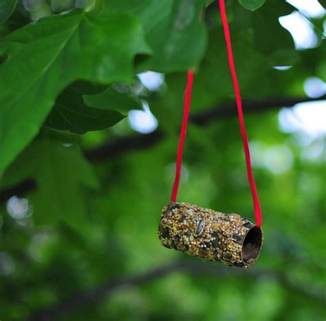 We made little movies with ours and even. Extremely Easy Bird Feeder From Toilet Paper Roll · How To ...