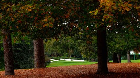 Has Augusta National Been Adding Secret Trees To Guard The Golf Course