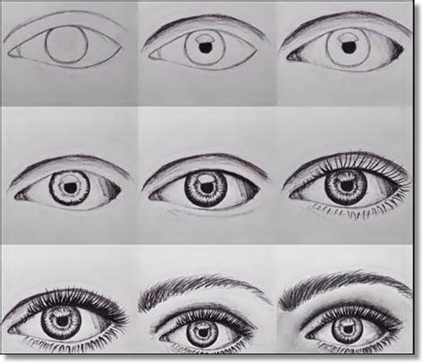Como Desenhar Olhos Humanos Passo A Passo Sobre Os Olhos