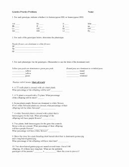 Tectonic forces cause the most damage in the center of the plates. 50 Genetics Practice Problems Simple Worksheet | Chessmuseum Template Library